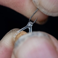 Preston Innovations Hookable Bait Bands